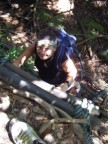 Nina climbing ladder by Sara.JPG (77 KB)